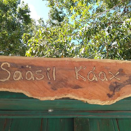 Вилла Saasil Kaax Чемуйиль Экстерьер фото